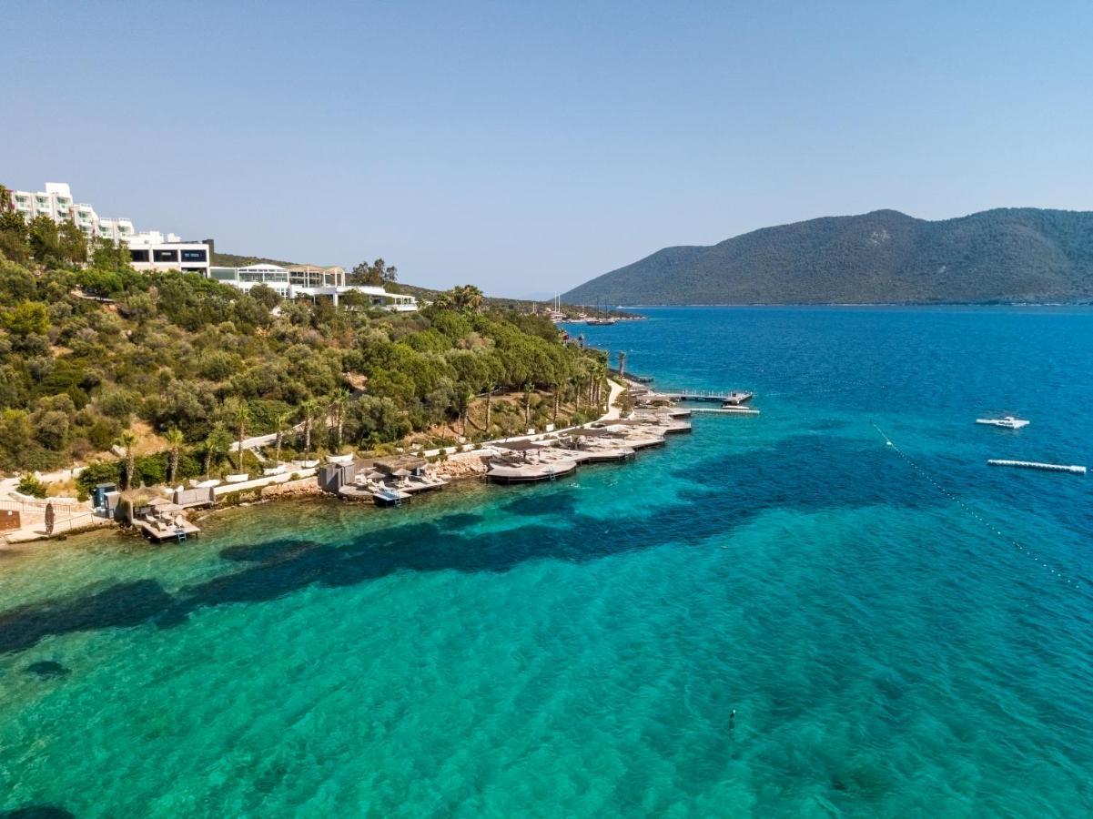 Hotel &