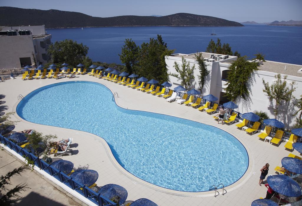 Hotel & 5*
